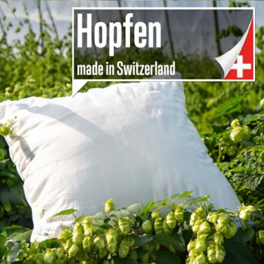 Hopfenkissen Kopfkissen