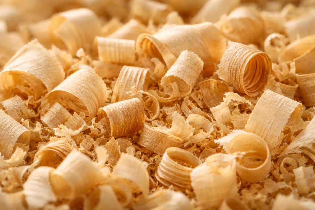 Arvenspäne Nahaufnahme Detail Foto